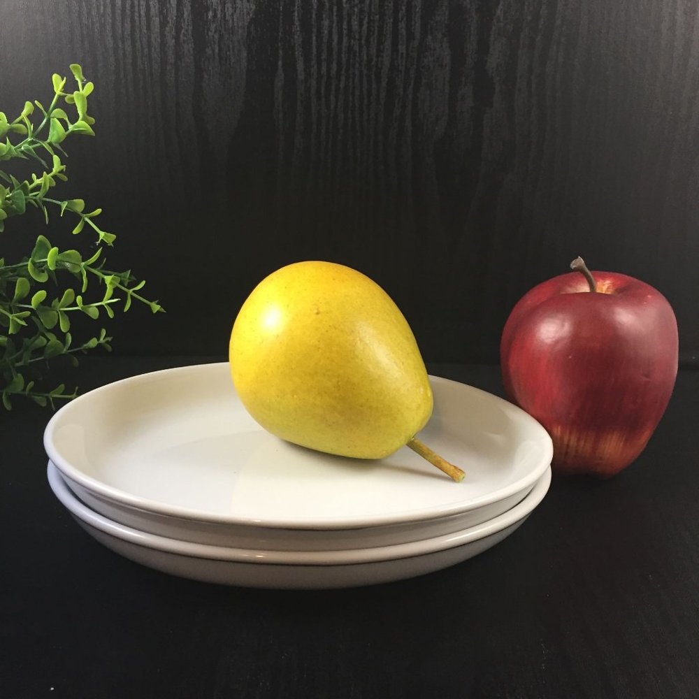 2 AMKO American Airlines Oval First Class Serving Plate White with Platinum Band